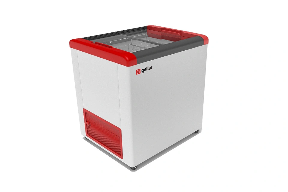 Ларь морозильный Frostor FG 250 C кр