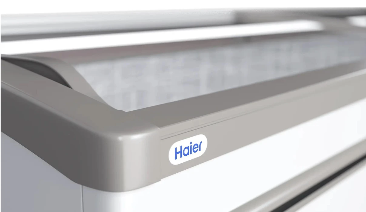 Ларь-бонет Haier GTS2500W