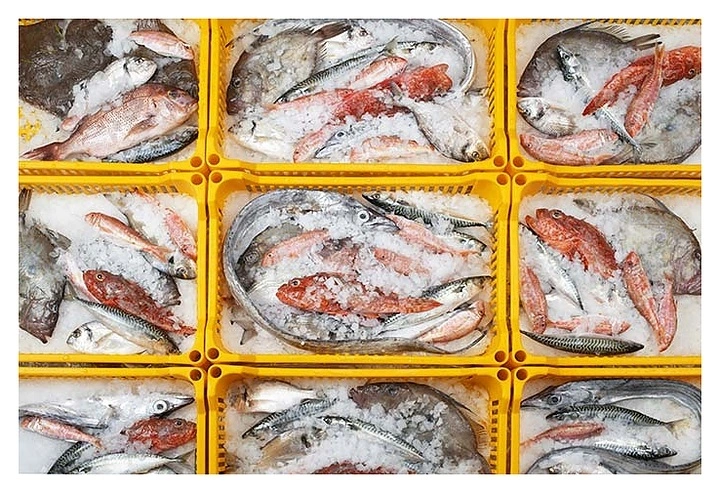 Льдогенератор Brema Muster 250W (no gas) Льдогенератор Brema Muster 250W (no gas)