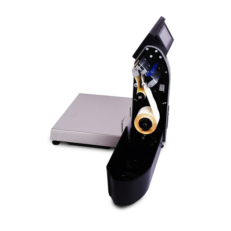 Весы для простого взвешивания МАССА-К МК-15.2-RL-10-1 Весы для простого взвешивания МАССА-К МК-15.2-RL-10-1