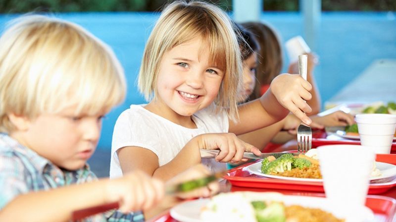 Здоровая еда — здоровый ребенок: чем дети питаются в школах?